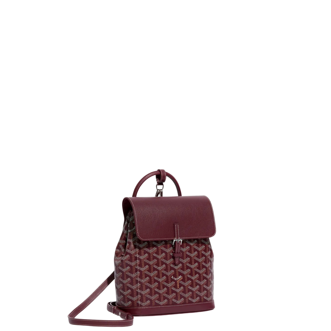 Goyard Alpin Mini Backpack – astyla.